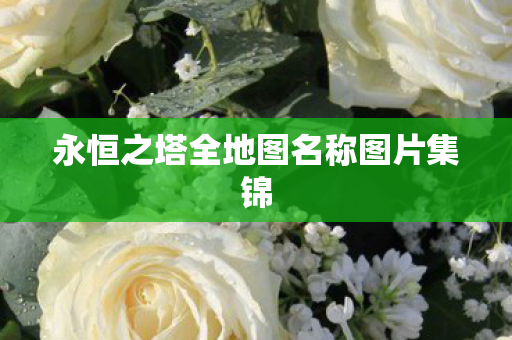 永恒之塔全地图名称图片集锦图片