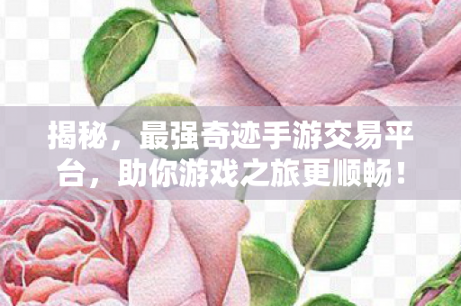 最强奇迹手游交易平台图片
