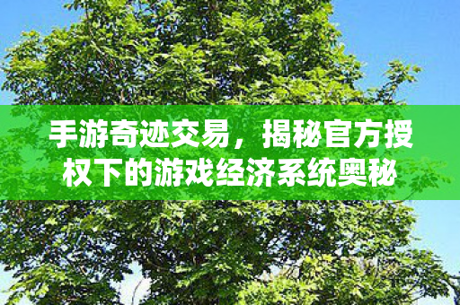 揭秘官方授权下的游戏经济系统奥秘图片