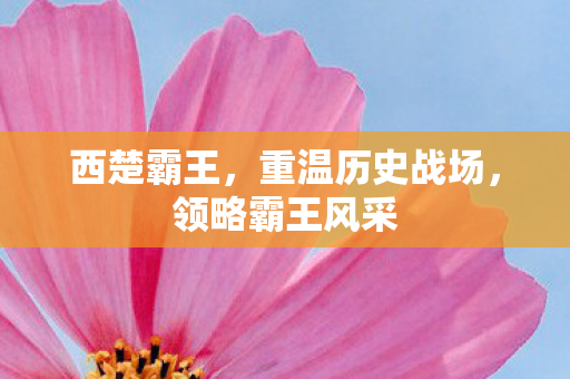 西楚霸王，重温历史战场，领略霸王风采