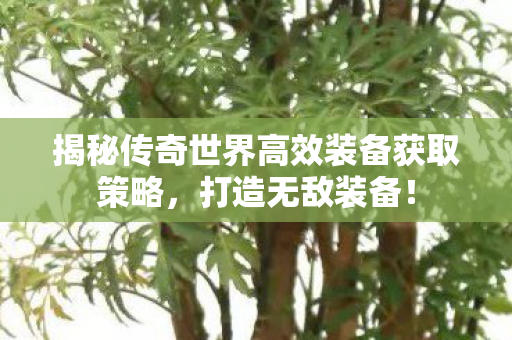 揭秘传奇世界高效装备获取策略图片