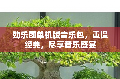 劲乐团单机版音乐包图片
