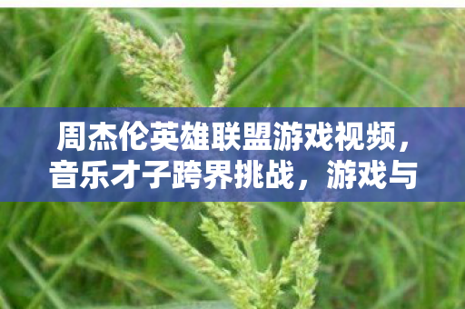 周杰伦英雄联盟游戏视频,音乐才子跨界挑战,游戏与音乐的完美融合,周杰伦跨界挑战,英雄联盟游戏与音乐完美融合 周杰伦英雄联盟游戏视频,音乐才子跨界挑战,游戏与音乐的完美融合,周杰伦跨界挑战,英雄联盟游戏与音乐完美融合