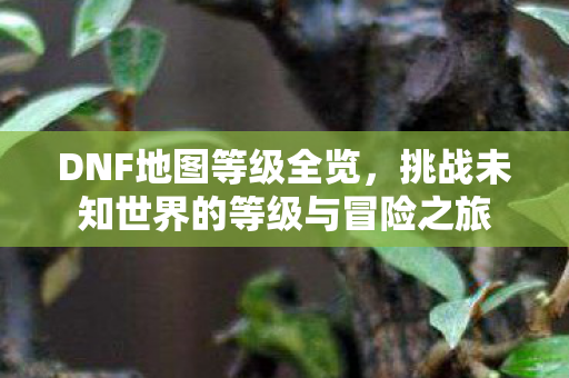 挑战未知世界的等级与冒险之旅图片
