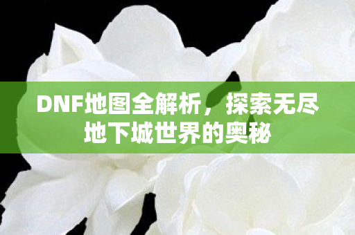 探索无尽地下城世界的奥秘图片