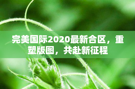 完美国际2020最新合区图片