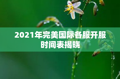 2021年完美国际各服开服时间表揭晓图片