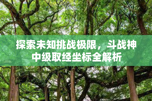 斗战神中级取经坐标全解析图片