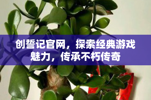 探索经典游戏魅力图片