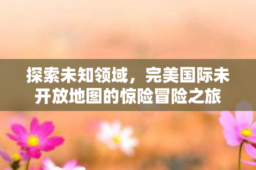 完美国际未开放地图的惊险冒险之旅图片