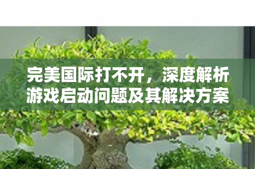 深度解析游戏启动问题及其解决方案图片