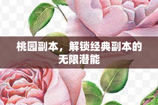 解锁经典副本的无限潜能图片