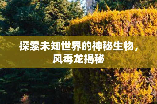 探索未知世界的神秘生物图片