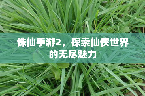 探索仙侠世界的无尽魅力图片