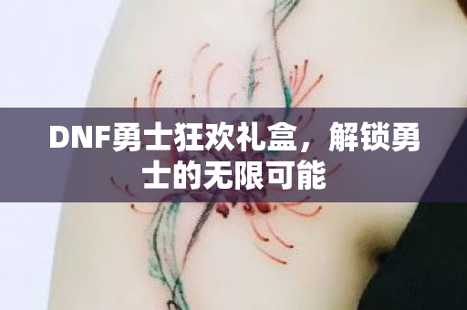 DNF勇士狂欢礼盒图片