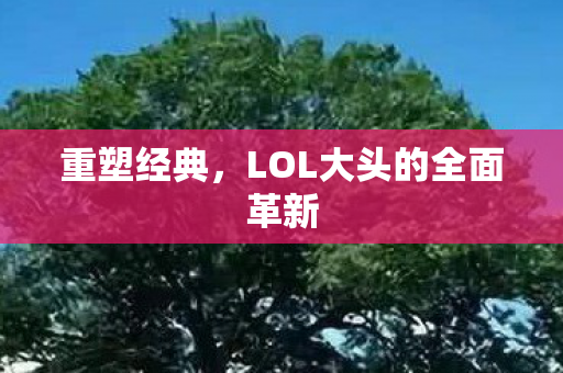 LOL大头的全面革新图片