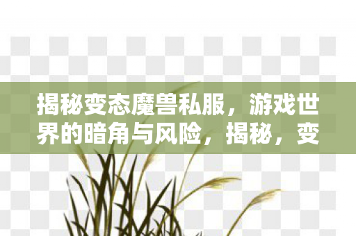 变态魔兽私服背后的游戏世界暗角与风险图片