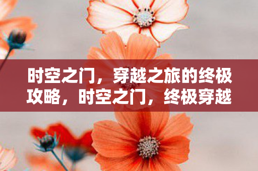 穿越之旅的终极攻略图片