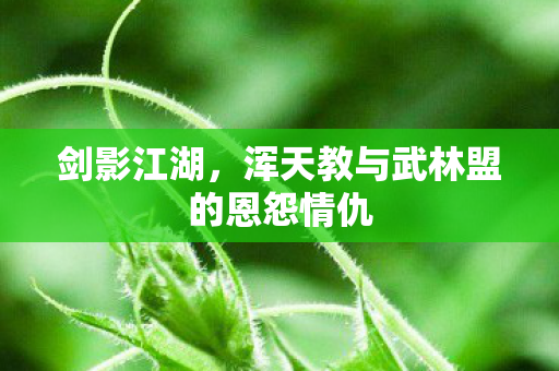 浑天教与武林盟的恩怨情仇图片