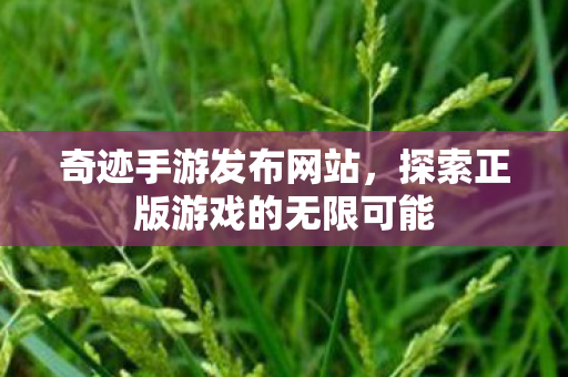 探索正版游戏的无限可能图片