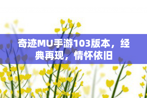 奇迹MU手游103版本图片