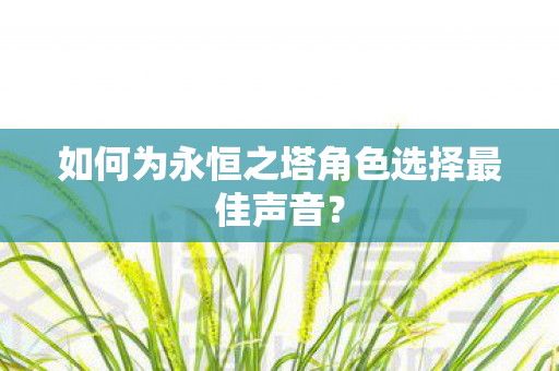 如何为永恒之塔角色选择最佳声音图片