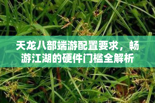 畅游江湖的硬件门槛全解析图片