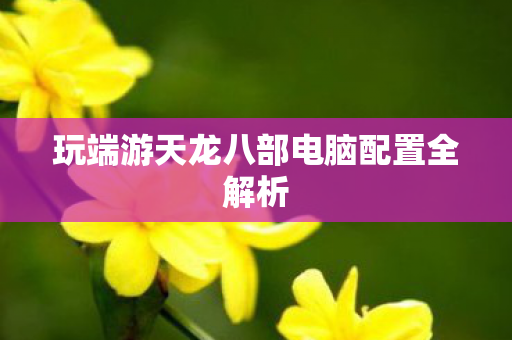 玩端游天龙八部电脑配置全解析图片