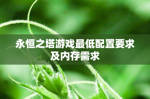 永恒之塔游戏最低配置要求及内存需求图片