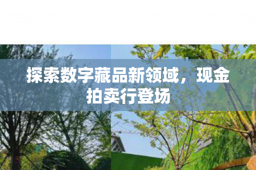 探索数字藏品新领域图片