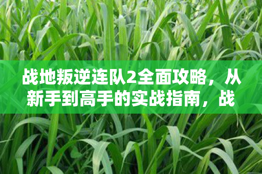 战地叛逆连队2全面攻略图片