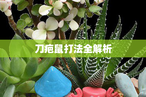 刀疤鼠打法全解析图片