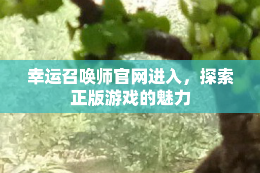 幸运召唤师官网进入图片