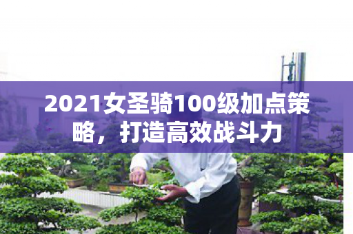 2021女圣骑100级加点策略图片