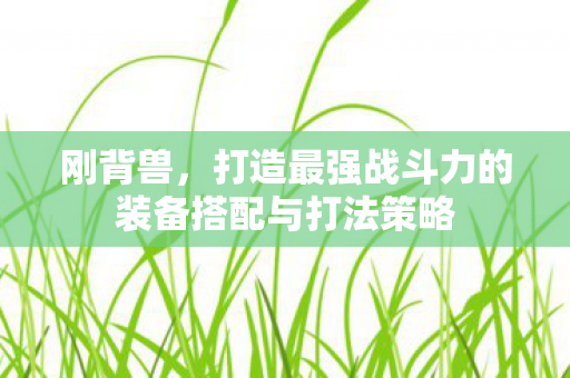 打造最强战斗力的装备搭配与打法策略图片