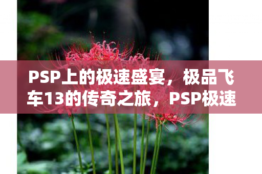 极品飞车13的传奇之旅图片