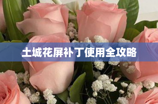 土城花屏补丁使用全攻略 土城花屏补丁使用全攻略