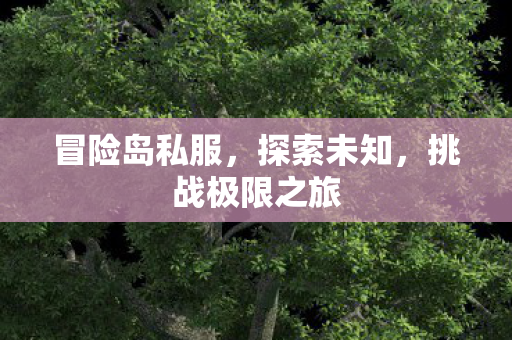 挑战极限之旅图片