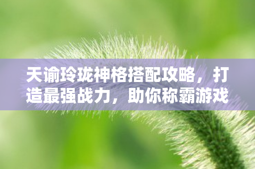 天谕玲珑神格搭配攻略图片