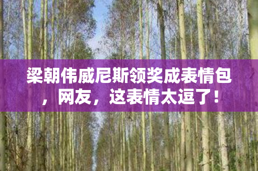 梁朝伟威尼斯领奖成表情包图片