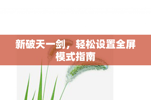 轻松设置全屏模式指南图片