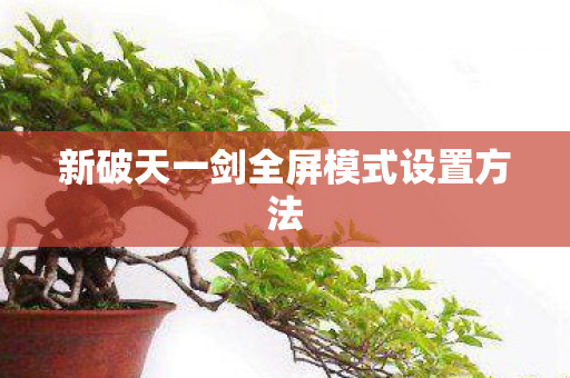 新破天一剑全屏模式设置方法图片