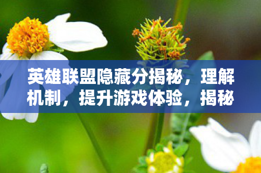 英雄联盟隐藏分揭秘图片