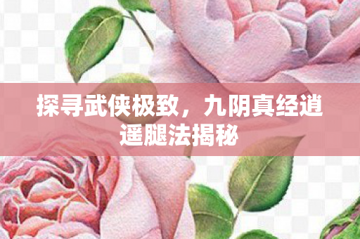 九阴真经逍遥腿法揭秘图片