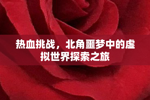 北角噩梦中的虚拟世界探索之旅图片