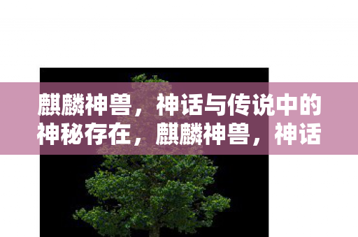 麒麟神兽,神话与传说中的神秘存在,麒麟神兽,神话与传说中的神秘存在 麒麟神兽,神话与传说中的神秘存在,麒麟神兽,神话与传说中的神秘存在