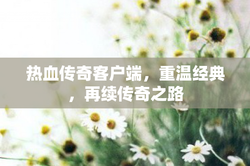 热血传奇客户端图片