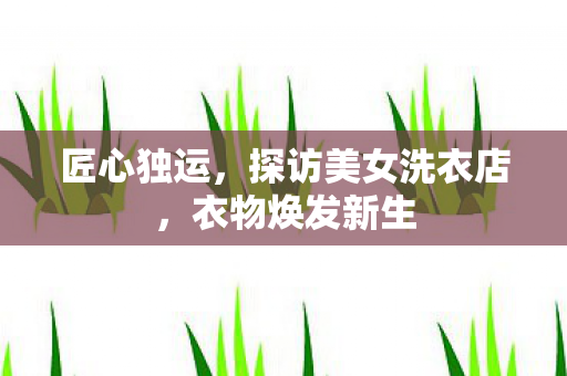 探访美女洗衣店图片