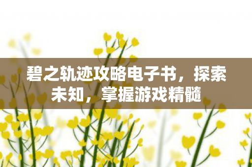 碧之轨迹攻略电子书图片