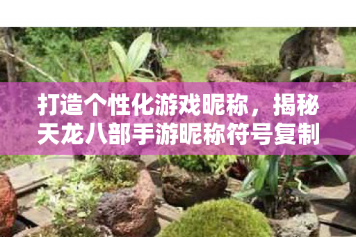 揭秘天龙八部手游昵称符号复制技巧图片